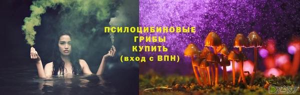 хмурый Алексин