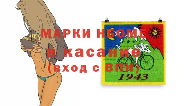 хмурый Алексин