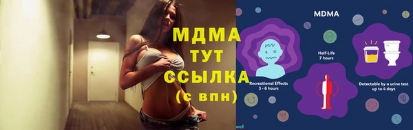 хмурый Алексин