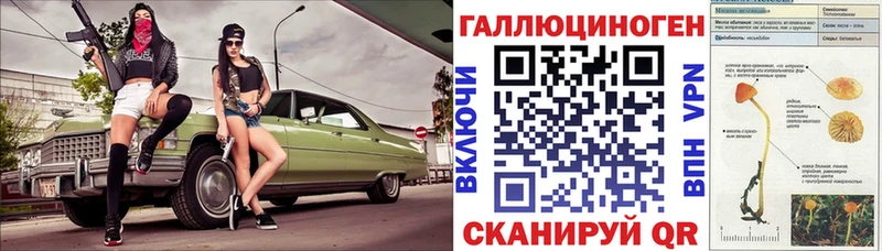 что такое   Александровское  Псилоцибиновые грибы Psilocybine cubensis 